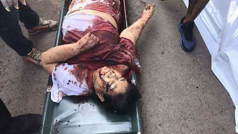pnp parojinog dead 2